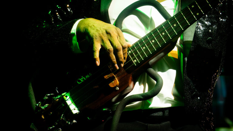 GUAYACÁN ORQUESTA EN CONCIERTO 8